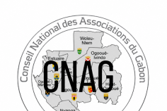 Gabon&nbsp;:  le  CNAG lance la mobilisation financière pour son futur siège