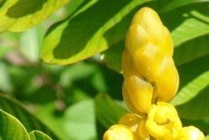 Constipation&nbsp;: causes, conséquences et solutions naturelles