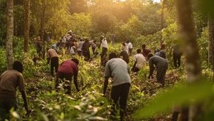 Croissance et écologie&nbsp;: le Gabon mise sur un avenir durable