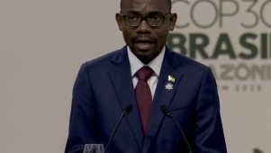 COP30 au Brésil&nbsp;: le Gabon appelle à un ordre climatique juste et durable 