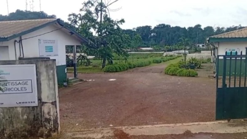 Agriculture/ IGAD&nbsp;: une réforme stratégique portée par la nouvelle gouvernance