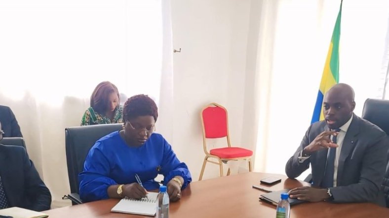 Fibre optique&nbsp;: le Gabon mise sur une extension nationale de 1 800 km