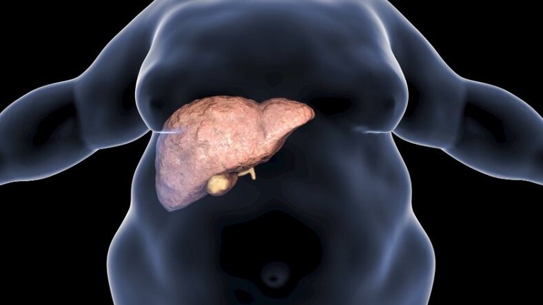 Foie Gras : les signes à ne pas ignorer 