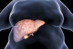 Foie Gras : les signes à ne pas ignorer 