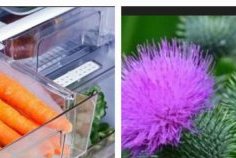 Prévention des cancers&nbsp;: phytothérapie et hygiène de vie au cœur des conférences Octobre Rose et Novembre Bleu