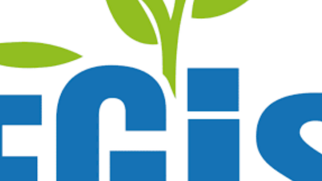 FGIS : des véhicules de l’État utilisés dans un réseau clandestin de location ?