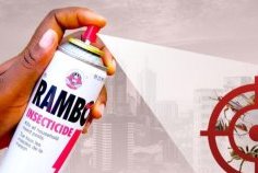 Contrefaçon&nbsp;: l’insecticide “Super Rambo” importé de Chine, retiré du marché gabonais