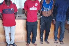 Makokou : quatre trafiquants arrêtés avec 14 défenses d’éléphants