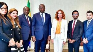 Santé&nbsp;: le CEO de 24/7 Assistance reçu par le président gabonais