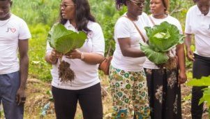 Agriculture / la Docteure Estelle Ondo lance le concept &laquo;&nbsp;le potager-maison&nbsp;&raquo; pour encourager l’agriculture urbaine