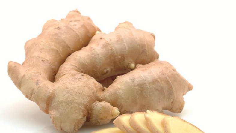 Grippe et toux&nbsp;: les pathologies les plus courantes de la saison froide 