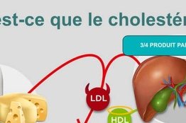 Cholestérol : un ennemi silencieux au cœur des maladies cardiovasculaires