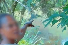 Affaire de fausse sextape&nbsp;: la tiktokeuse «&nbsp;la Matrice des audios&nbsp;» condamnée