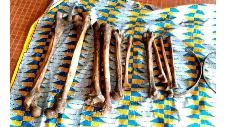 Profanation de tombes et trafic de restes humains&nbsp;: une affaire macabre relance les inquiétudes au Gabon