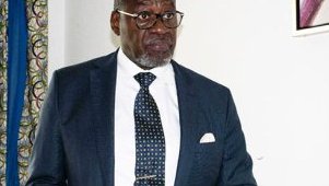 Gabon&nbsp;: Francis Hubert Aubame (PSE) dénonce «&nbsp;un processus électoral biaisé et sous contrôle du pouvoir&nbsp;»