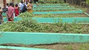 École Verte : des jardins pédagogiques pour éveiller les vocations agricoles dès le primaire
