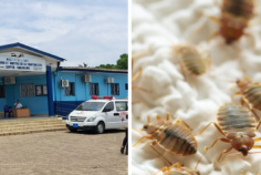 Brève / Santé/ Présence de punaises&nbsp;: l’hôpital de Beau-Séjour suspend ses activités pour 48 heures