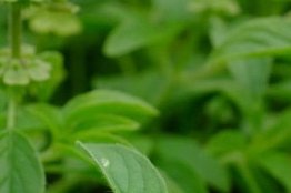 « Je ne mange pas sucré… et pourtant ma glycémie explose »