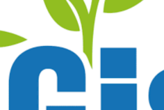 FGIS&nbsp;: des véhicules de l’État utilisés dans un réseau clandestin de location&nbsp;?